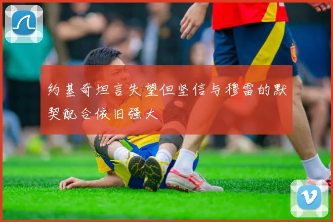 约基奇坦言失望但坚信与穆雷的默契配合依旧强大