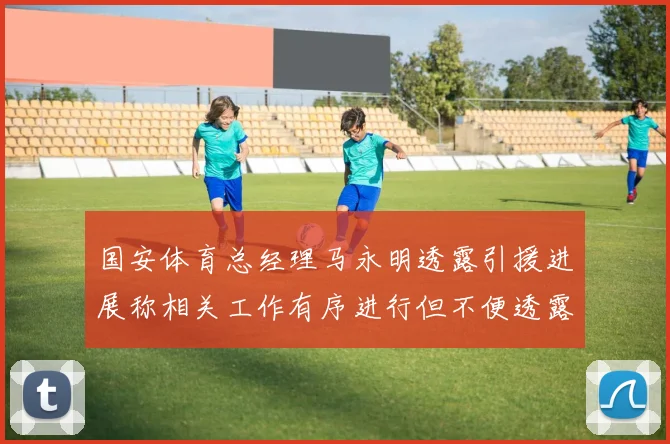 国安体育总经理马永明透露引援进展称相关工作有序进行但不便透露名字